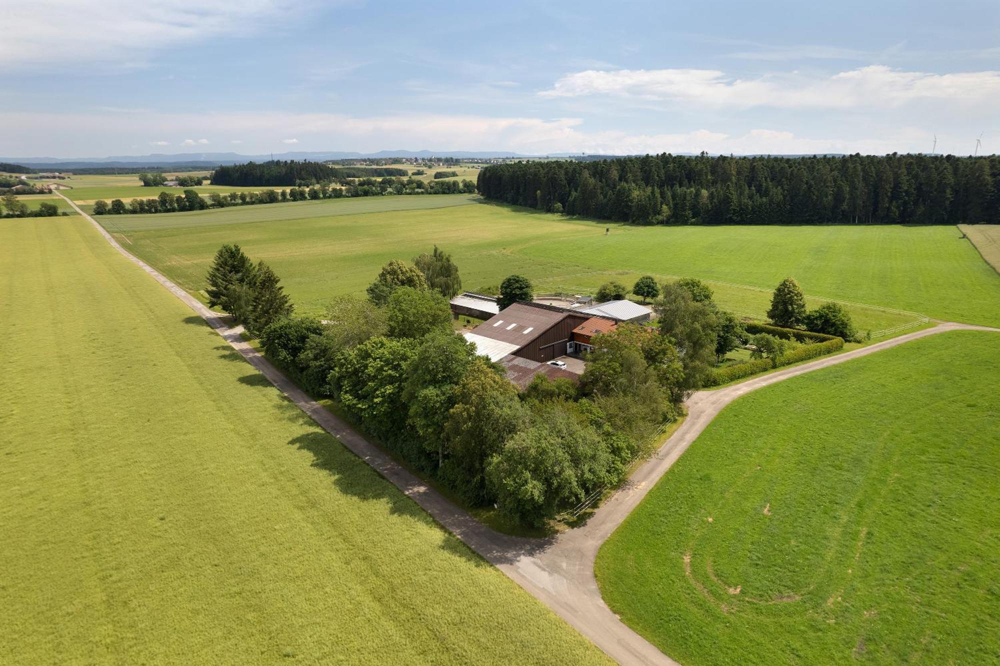 Fewo Naturliebe - Keine Monteure Dornhan Exterior foto