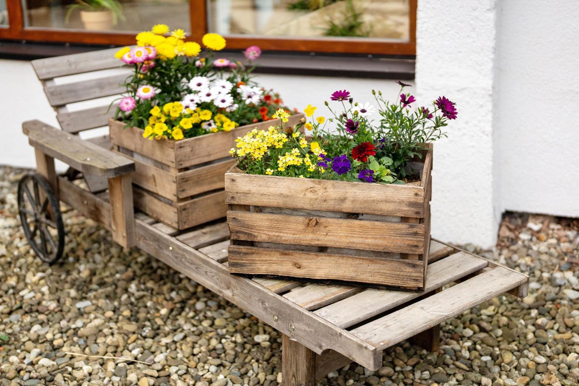 Fewo Naturliebe - Keine Monteure Dornhan Exterior foto